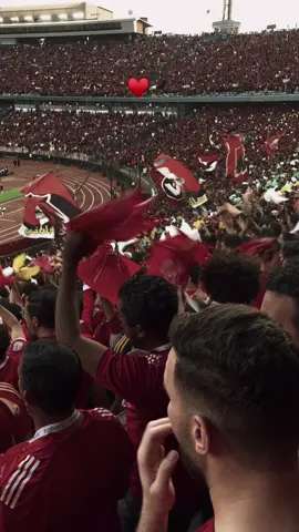 ذكري و احلي ذكري اول واقفة في التالته شمال ♥️🦅#الاهلي #التراس_اهلاوي #التالته_شماال🦅🦅 