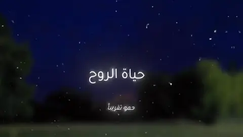 روقان أخر الليل ✨❤️‍🩹 #حلات_واتس #تصميم_فيديوهات🎶🎤🎬 #تصميمي 