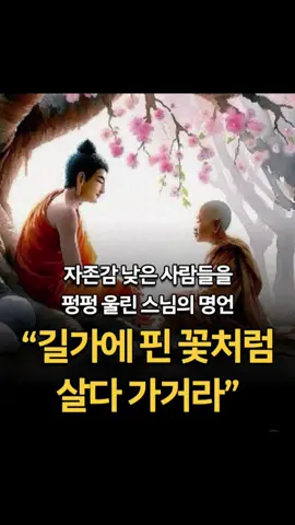 #자존감 낮은 사람들을    펑펑 울린 스님의 명언 