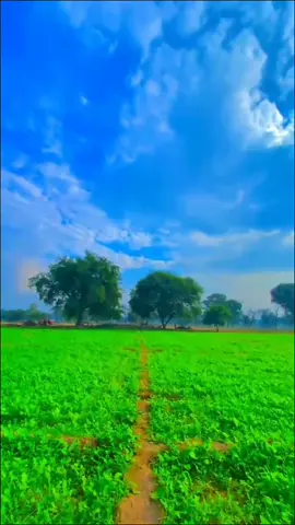 #viral #viralvideo #foryou #foryoupage #tiktokpakistan #tiktokviral #growmyaccoun #♥️🥰😘🥀🌺🌹🥀 #manzoor 