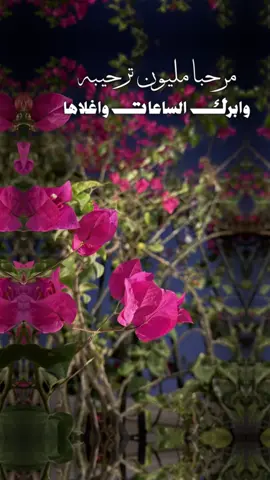 #CapCut #مرحبا_مليون #شيلات_روعه_خواطر_ذوق #شيلات #ترحيب #فديوهات 