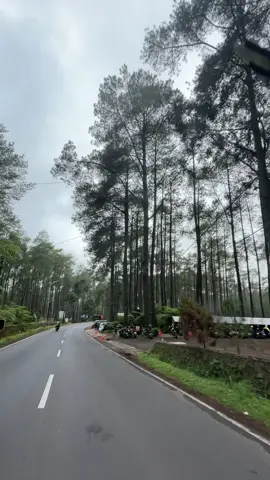 foto bisa di hapus,nomor bisa di blokir,sosmed bisa di unfoll,tapi; jalan yang pernah di lewati?                            #fyp #masukberanda #jalan #bandung #lembang  