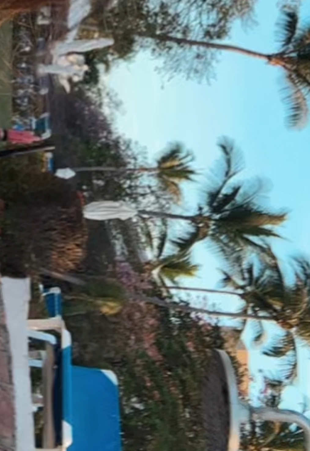 ☀️.                                                      #punjabi #browngirl #fypシ゚ #foryoupage #mexico #sukha #dil #mexico🇲🇽 #brown #fyp 