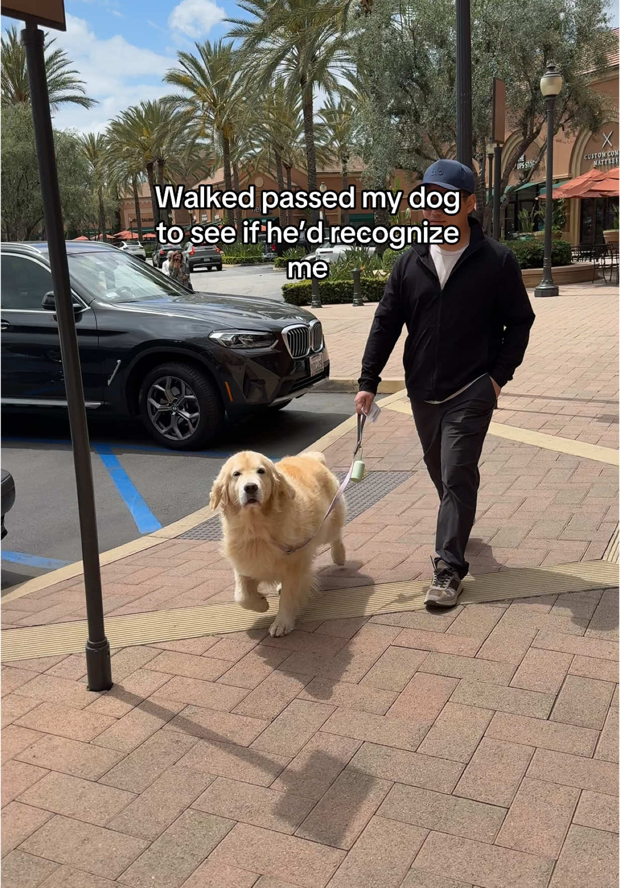 Another attempt! Now I am convinced that me and Maui will find each other in every lifetime #goldenretriever #souldog 