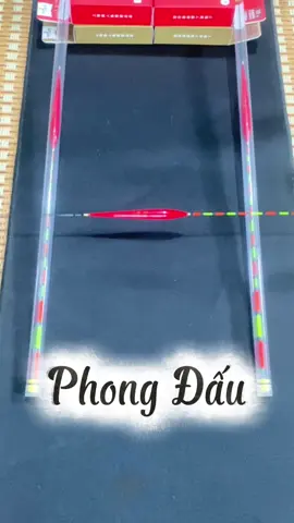 Phao câu đài Phong Đấu chuyên Chép #phaocauca #phaocaudai #cauca #caudai #caucadichvu #caucatunhien #caucagiaitri #fyp 