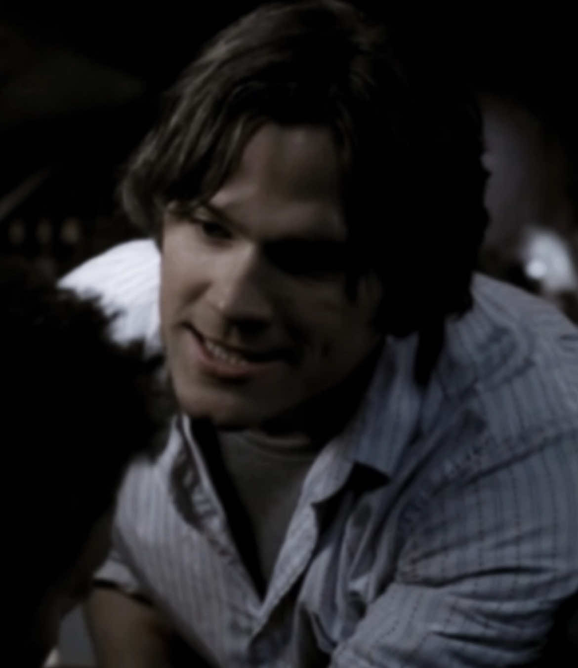 Meg sam . Hello .  Snapchat me dat 🐱 . If it coo . Facetime me that 🐱 .  cc 808mg ac ukepill scp dcrkwrlds [#supernatural #supernaturaledit #spn #spnedit #samwinchester #samwinchesteredit #jaredpadalecki #jaredpadaleckiedit #megsam #megsamedit #edit #edits #fyp #jugg #juggedit] for Bookies @ziggy/sam @Loki @junetism @jilly @karma BomDigiDigi bombombombom @♱ ͟.   𝔎𝔲𝔲𝔯𝔬𝔪𝔦 . @ziggy 🌊 