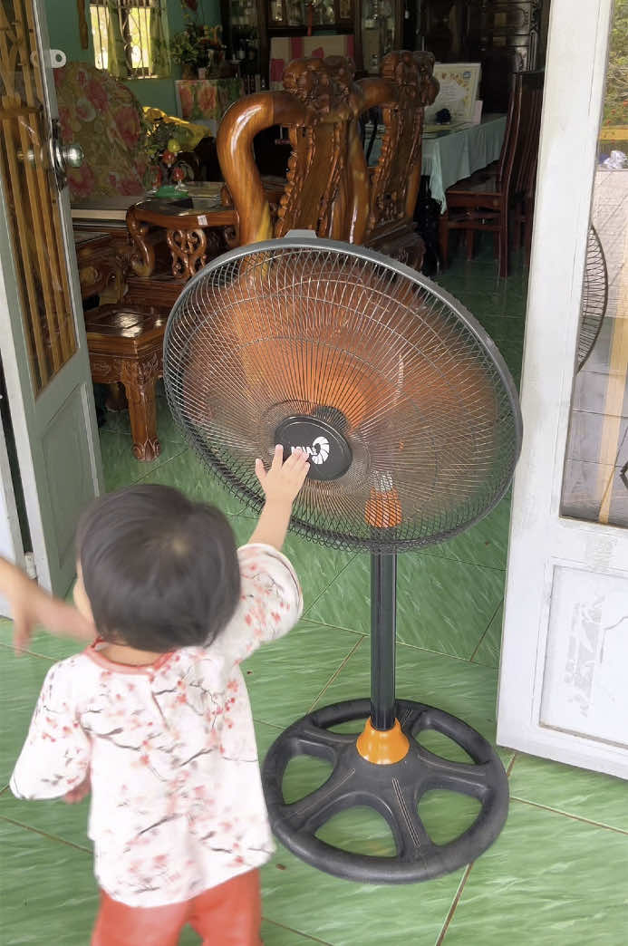 Trả lời @Em Nhi Nhà Cửa Sợ con thò tay vào cánh quạt thì mình mua lưới bọc vào nha  @@EmNhiLongAn @@EmNhiLongAn @@EmNhiLongAn##emnhilongan##luoibocquat##luoitrumquat##bocquat##bocquatbaovebe