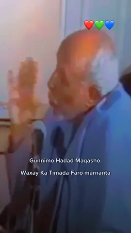 Gunnimo Hadad Maqasho  Waxay Ka Timada Faro marnanta AHUN Abwaan Hadraawi #naas_______barkade 