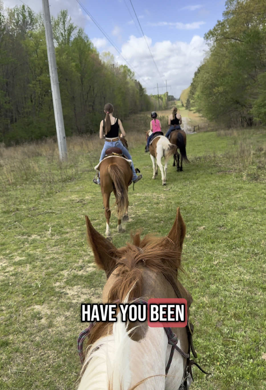 Rode through the woods with some truly good people @JustAGirlOutdoors laughing, talking, soaking in the beauty around us. There’s something about being on horseback in the quiet of nature that makes you feel grounded and full at the same time. So grateful for days like this… for the peace, the company, and the reminder of how beautiful life can be when you slow down and take it all in. #GratefulHeart #TrailRide #GoodPeople #horsebackriding #NatureIsHome #SlowDownAndRide #ThankfulMoments  
