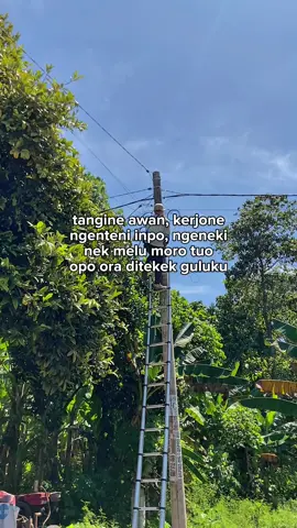 Damai🙌🏻.                                                #rtrwnet #wifiteam #fibersplicing #ponorogohebat #jowopride #ponorogo24jam #fiberoptics #fypシ゚viral #fypdongggggggg 