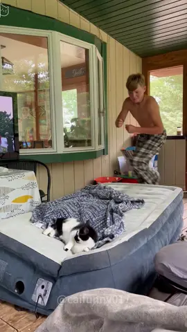 They're happy with people, I swear🤦🏻‍♂️ #fyp #foryou #cats #catsoftiktok #cat #kitty #grumpycat #orangecat #preferredhuman #sparehuman #cute #orangecat #waffles #polydactyl