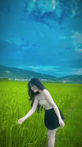 Tìm đồng đội đi chụp ảnh đồng lúa cùng mình yêu cầu biết chụp ảnh là dk🥰🥰🥰#xuhuong #viraltiktok #thanhhoa36k5 #gaixinhvn123 