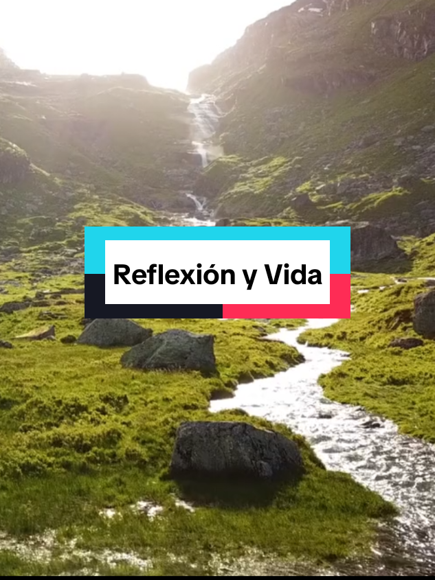 Reflexión: Guía Tu Vida. #Dios #reflexion #frasesmotivadoras #palabraspositivas #frasescristianas #motivacion #palabradeDios #reflexionesdelavida #fé #motivation #reflexionescristianas #reflexiones 