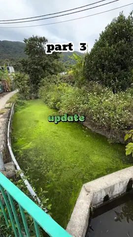 after driving 9 hours straight just to be there for my family's big celebration, my dad looked me dead in the eye over dinner and said 'You're nothing but a disgrace, all you ever do is take, you've never brought this family a single moment of pride, if you have any self-respect left, leave this house and don't come back.' my mom pretended not to hear, my brother rolled his eyes and kept scrolling on his phone, i didn't respond, just got up and walked out, that night I slept alone in my car behind a gas station, years later my phone blew up with his calls and messages and I couldn't help but laugh, he finally got what I'd done.