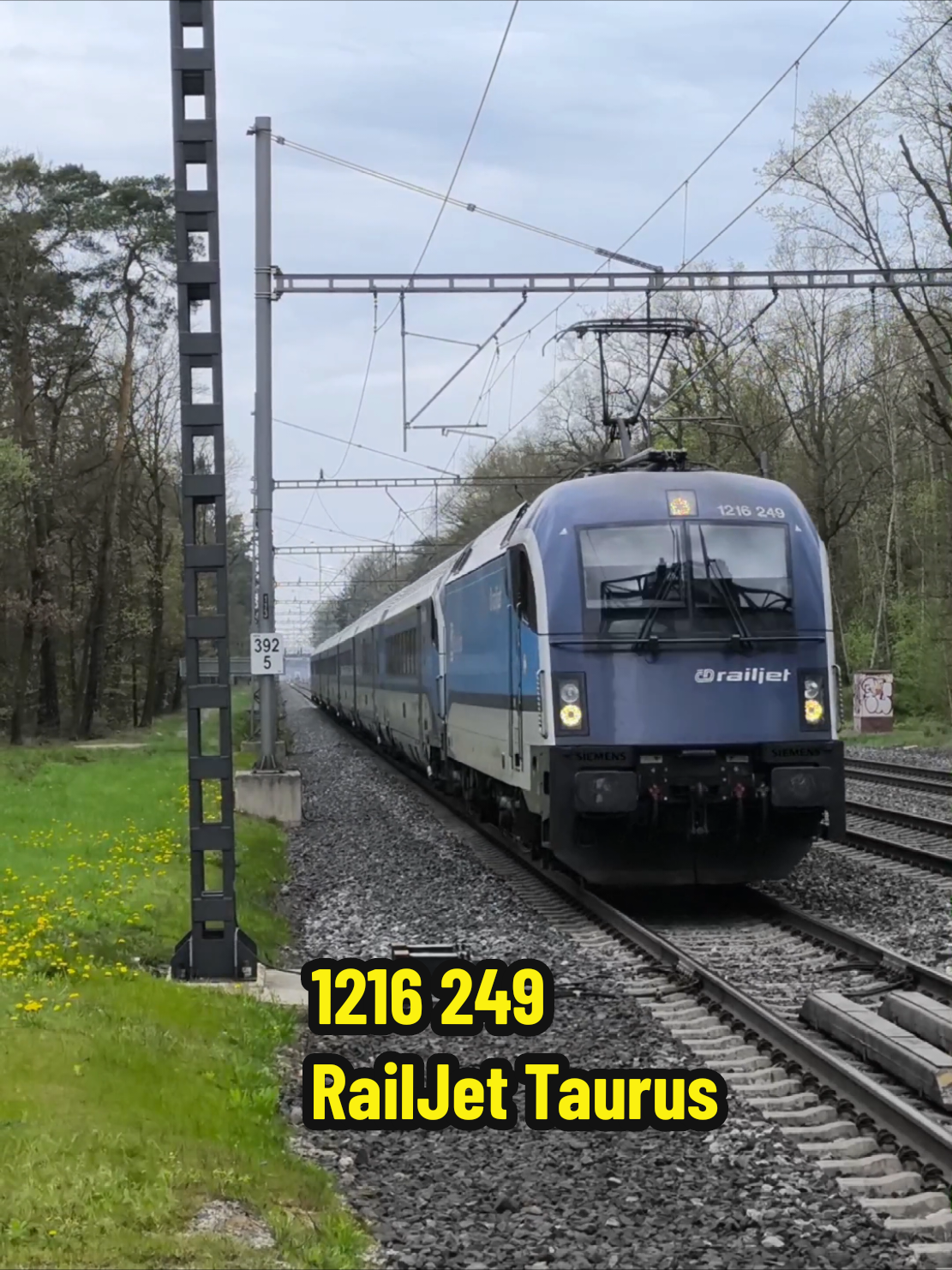 Taurus RailJet🤩 #fup #глобальныерекомендации #боянер #pozdrav #rj #railjet #taurus #ČD #OBB #öbb 