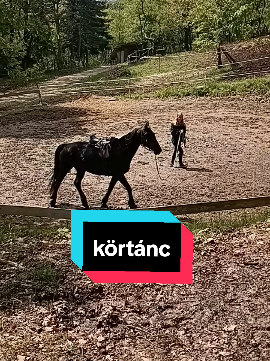 fb oldal: Gyaloggalopp Lovastúra Szakosztály