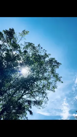 #blue #sky #fyp #foryoupage #fotolive #aesthetic 