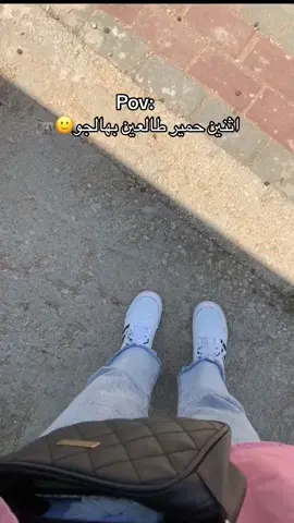#حيوانهه😂🙂 #الخليل الشامخةة👋😉 #حيفا_فلسطين_عرب_48  ##شلوم_حڤري🦦👋🏻  #رهط_تل_اسبع_اشقيب_عرعره_حوره_بير_هداج  #אטיקתימור_נצנוץ 