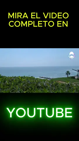 Parque con peces en Lima 😎 #viraltiktokvideo #paratiiiiiiiiiiiiiiiiiiiiiiiiiiiiiii #fyp #foryouu