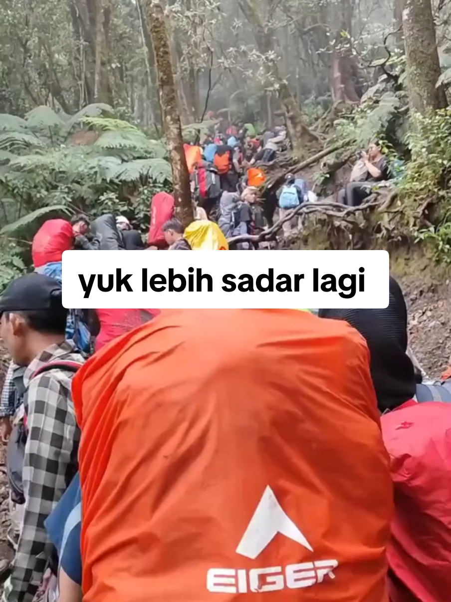 BAWA TURUN SAMPAH KALIAN! #pendakigunung #gunungindonesia #gununggedepangrango #explore 