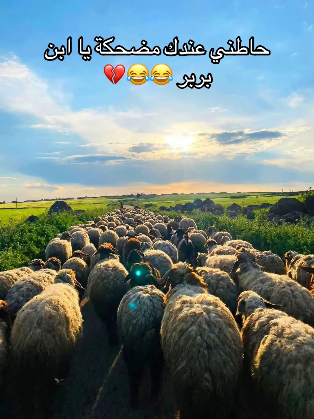 #الشعب_الصيني_ماله_حل😂😂 #الجهمان #اكسبلورexplore #CapCut #تصميم_فيديوهات🎶🎤🎬 
