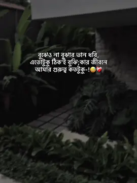 বুঝেও না বুঝার ভান ধরি, এতোটুকু ঠিক'ই বুঝি;কার জীবনে আমার গুরুত্ব কতটুকু-!😅❤️‍🩹#foryou #fyp #trending #hey_akash_05 #unfrezzmyaccount #bdtiktokofficial🇧🇩 