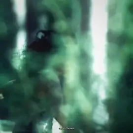 #FRANCIS i dont like this 🥀 paige has nothing to do with the lyrics or edit, she just has the running scenes so shes there in the intro lmao #cyberhexes #aaronpaul #aaronpauledit #lasthouseontheleft #lasthouseontheleft2009 #francisedit #lasthouseontheleftedit #cyberhexes24  @Marz @riri☆ HAPPY BHM!!✊🏾 @allison / race @🐇 @★𝐑𝐎𝐍𝐍𝐈𝐄★ idk who else is on my tag list anymore 💔 like the every edits one 💔 im suffering idrc 🥀
