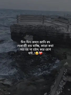 দিন দিন কেমন জানি বদ মেজাজী হয়ে যাচ্ছি, কারো কথা সহ্য হয় না হঠাৎ করে রেগে যাই..!😅❤️‍🩹 #fypシ #foryou #foryoupage #sad #status #virulplz🙏 #LK_ARIYAN__10 #tiktokbangladesh #bdtiktokofficial @For You @TikTok Bangladesh 