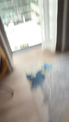 good morning from the queen #bbindubai #dubai #fypシ #blackgirldubai 