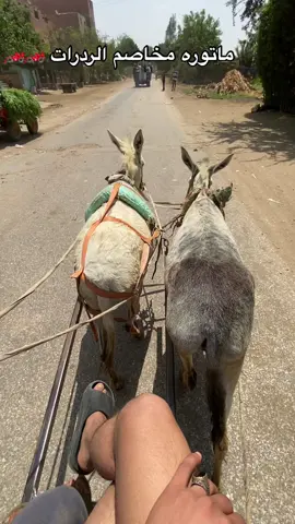 بورش