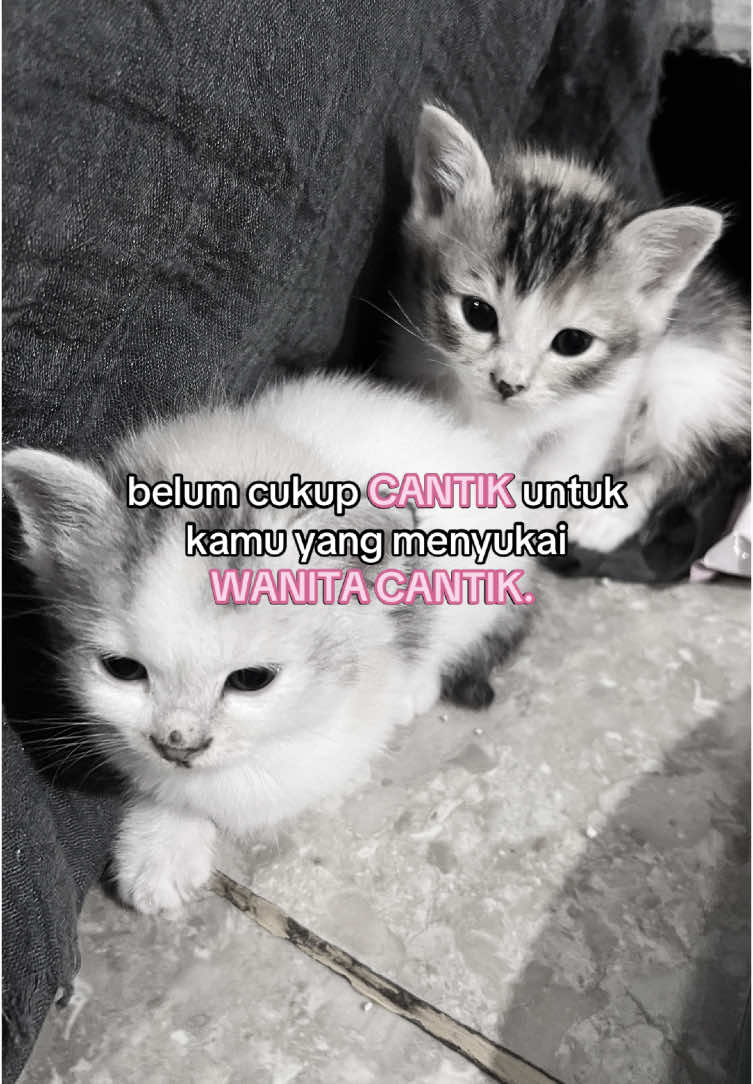 iya iya #foryoupage #fyp 
