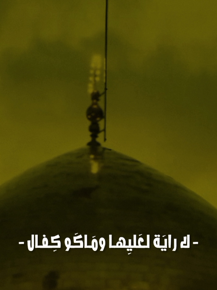 لا رايَة لعَليِها ومَاكَو كِفال ،💔🌿 #السيدة_زينب#دمشق#سيد_سلام_الحسيني_شمس_الغاضرية#سوريا#راية_السيدة_زينب  #سيد_سلام_الحسيني#يااباعبدالله_الحسين  #ياعلي #ياأمير_المؤمنين       #ياحسين  #ياعباس #كريلاء #ياصاحب_الزمان #المقتل #ياصاحب_الزمان_ادركنا    #قصائد #ياحسين #ياعلي #ياأمير_المؤمنين    #الأمام_الحسين_عليه_السلام #بعيوني_وجودك_الدنيه_كلهة_حسين #شور #سيد_مهدي_البكاء  #محد #fyp   #الشعب_الصيني_ماله_حل😂😂 #اللهم_لك_الحمد_ولك_الشكر