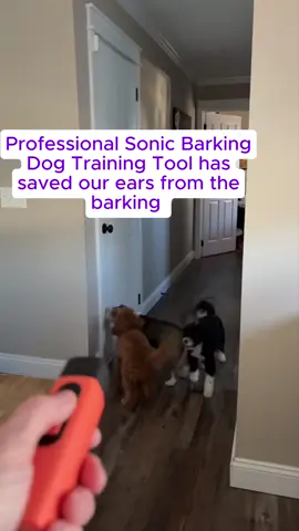 The best and most helpful anti-barking device in the world!!!!​#fyp #stopdogbarking 