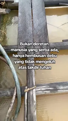 #foryou #fyp #kapuasbenteng 