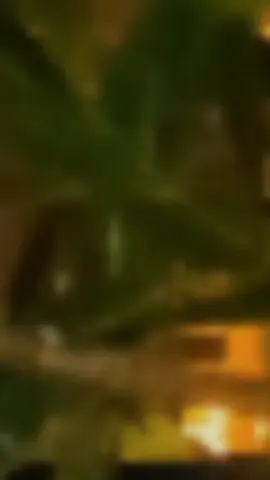 #parati #fy#الشعب_الصيني_ماله_حل😂😂 #الشعب_الصيني_ماله_حل😂😂 