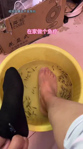 做个鱼疗