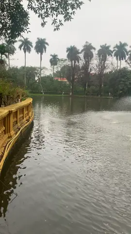 Lưu lại kỉ niệm ngày con ở miền nam ra thăm lăng Bác💓💓Ao cá Bác Hồ❤️ #nhachaymoingay #xuhuongtiktokkk #nangluongtichcuc💪🍀 #62longan❤️_chàomoinguoii #chaomung30_4 