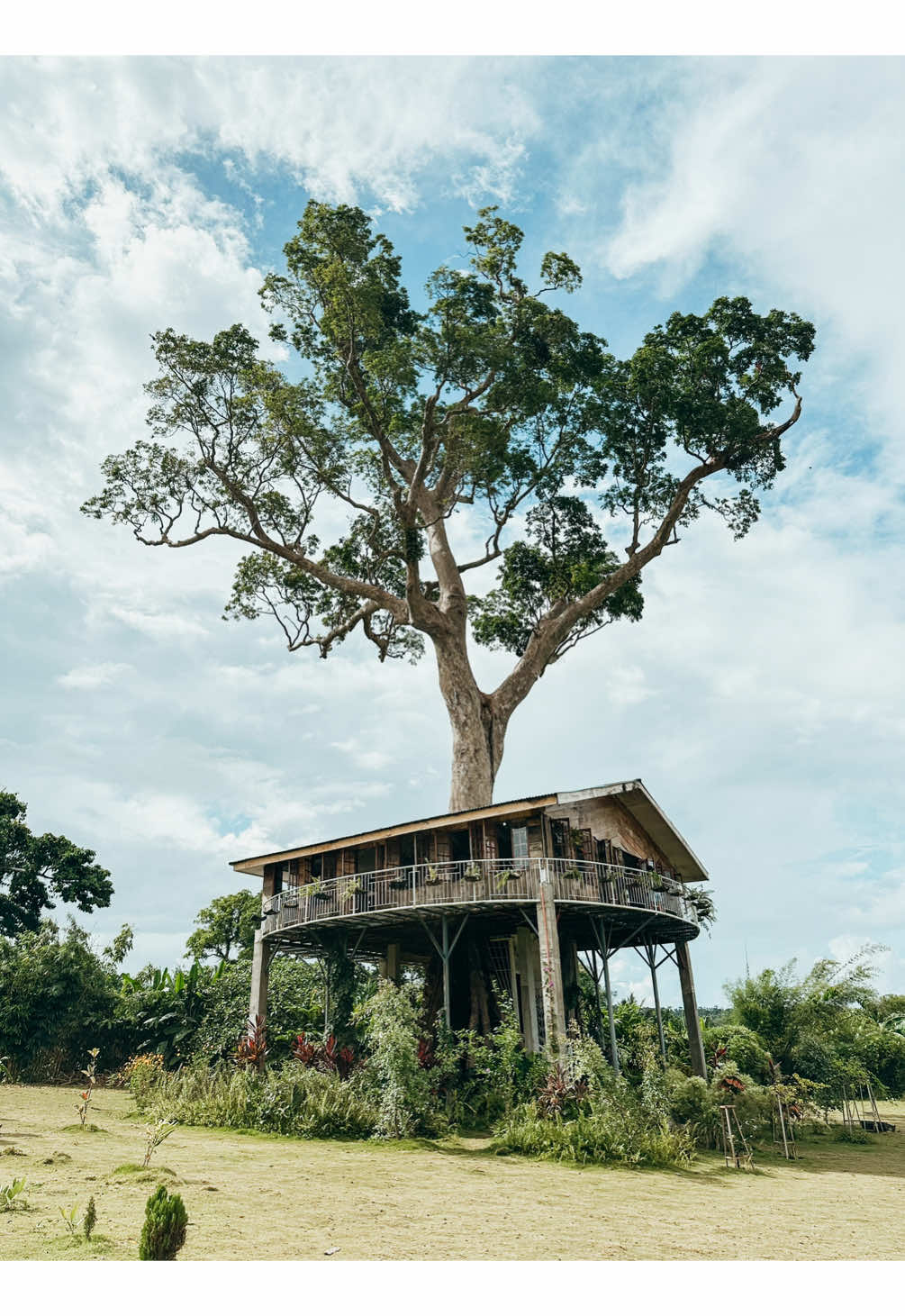 Treescape 🌳 📍Tigaon, Camarines Sur  #RJtheWanderer #bicol #fyp #fypviral #tambayan #followforfollowback #viralreels #viralvideo #fypage #travelph #travelphilippines #chill #foryou #travelgram #treescape #tigaon 