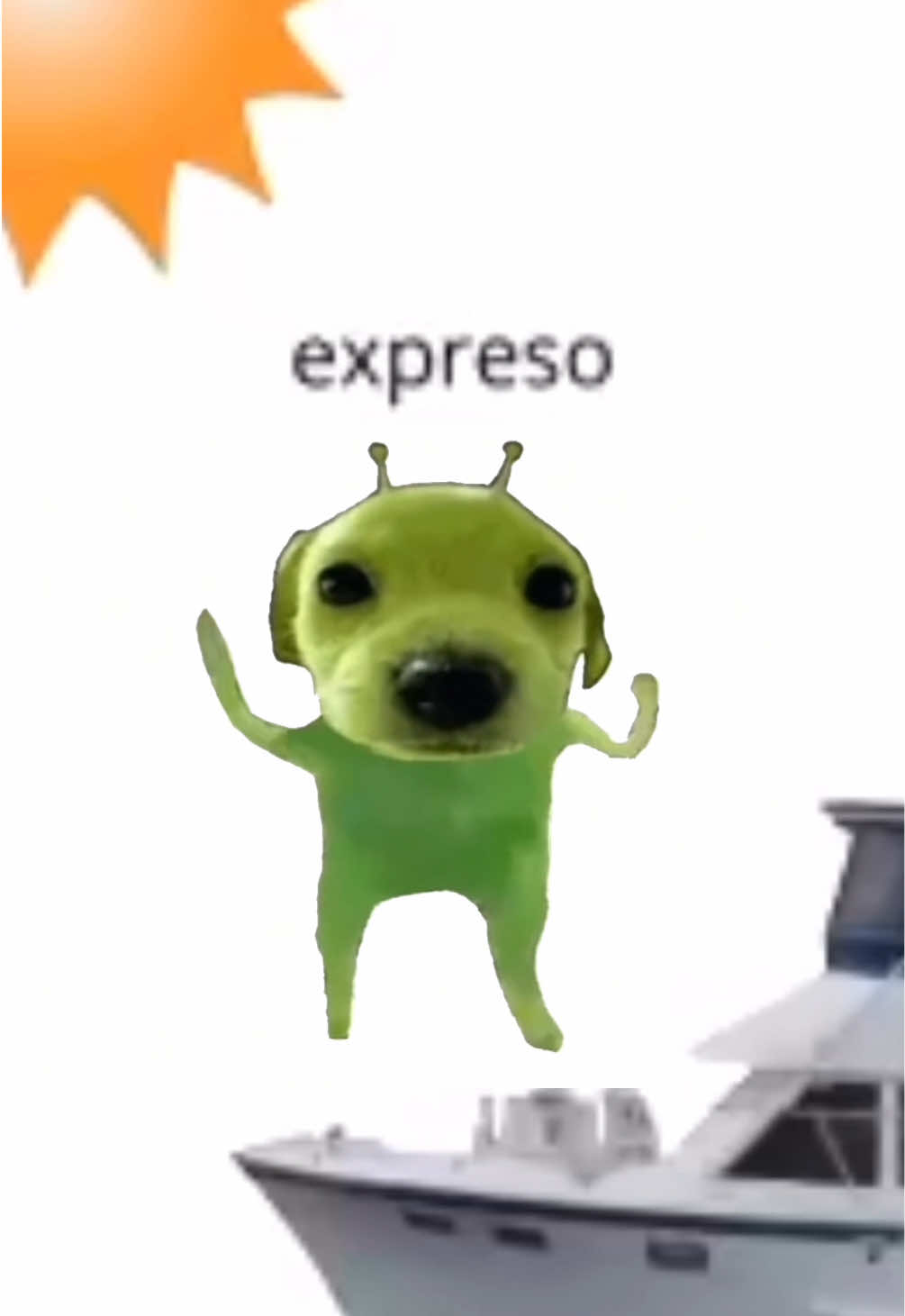 Expreso? Igezzo #Gog #alien #dogsoftiktok #espresso #sabrinacarpenter #fyp 