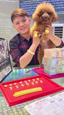 Feedback Anh khách VIP cùng bé Nâu siêu cute.💓💓💓 Cảm ơn Anh đã luôn tin tưởng và ủng hộ tiệm ạ.😍 #K_PH2 #TIỆMVÀNG_KIMPHUONG2 #virralvideo #xuhuong #feedback