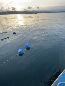 Ta xa nhau lòng anh..