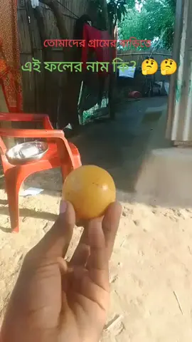 তোমাদের গ্রামের বাড়িতে এই ফলের নাম কি??#tiktok #foryou #my #100k #views @TikTok @For You 