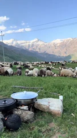 #کوردستان🇹🇯️ #قەندیل #ولاتێمن#باخچێ#🌸#سروشتی_جوانی_کوردستان 🇭🇺