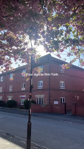 Our beautiful York in spring✨☀️ #YorkSociology #SocialMedia #ContentCreator #UniversityofYork #UoY #UofYork #pgt #postgraduate #postgrad #uoylife #uoypgt #uoysociology #uoyStudents #studyatyork #studyinyork #studyintheuk #studyuk #internationalstudent #ukpostgraduate #lifeinyork #campuslife #studentlife #sociology  #MAprogram #MAprogramme#MAdegree #MSc #MScstudies #mscprogram