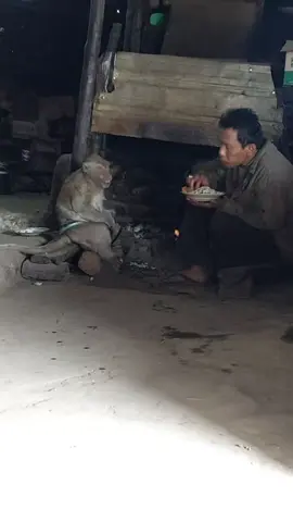 semoga ada yg ngerawat temon dengan tulus setulus alm beliau 🥺 #gununglawu #temon #fyp #lawumountain #mbokyem #hargodalem #sad #rip 