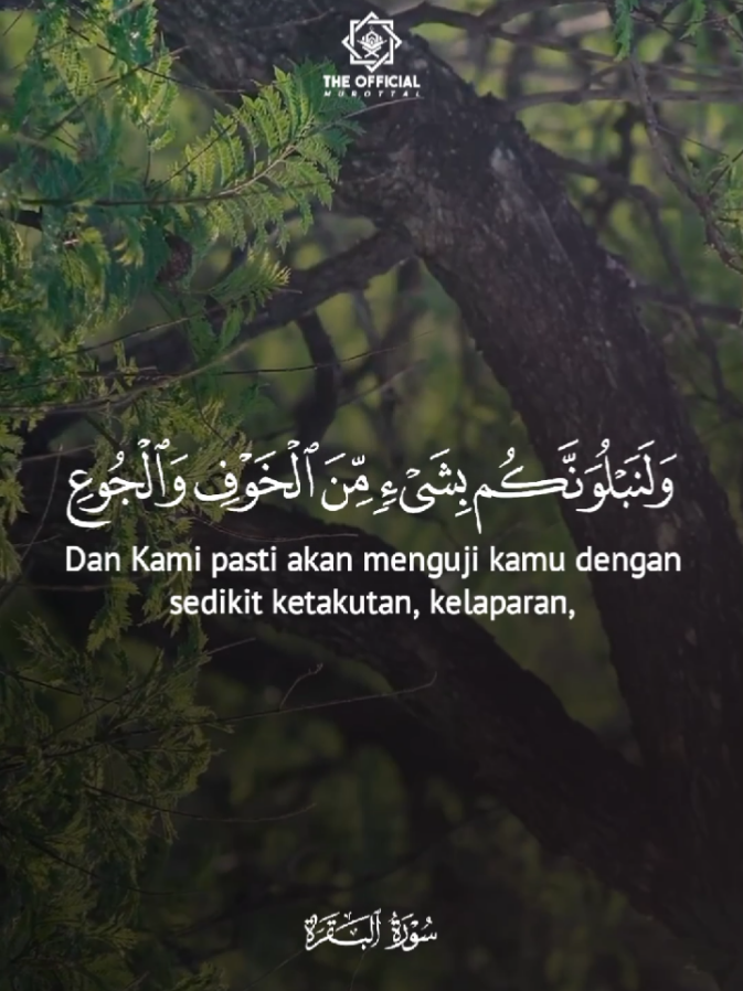#CapCut Surah Al-Baqarah || Nisara Ate #theofficialmurottal 