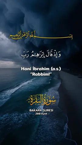 Bakara Suresi 260.Ayet #quran #kuranıkerim #قران_كريم