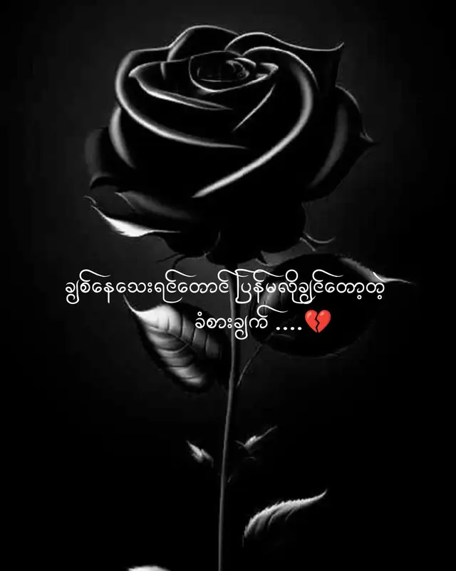 ခင်များကို ချစ်လားမေးရင် ချစ်ပါတယ် အရင်ကလောက်တော့ မလေးနက်တော့ဘူးပေါ့ ကို ပြန်လာပါရစေ No... ပြန်မလာပါနဲ့ ဘယ်တော့မှ ပြန်မလာပါနဲ့ ခုချိန် ခေါင်းထဲတွေးမိတာ ဒီလူကို ငါဘာလို့ ချစ်တယ် ပြောမိခဲ့ပါလိမ့်ပေါ့ အဲ့လိုပြောရင် ယုံပါ ... တကယ်ပြောတာ ကျတော့်အတွက် ကျတော်လိုအပ်ချက်အတွက် ဘာတစ်ခုမှ လည့်မကြည့်ပေးခဲ့တဲ့လူ ချစ်တယ်ပြောပြီး အမြဲလျစ်လျူရှုထားတဲ့လူ ကျတော် ဘယ်လိုလူပါလို့ ပြောခဲ့ရက်နဲ့ အကြိမ်ကြိမ် နာကျင်အောင် လုပ်ခဲ့တဲ့လူ အကြောင်းပြချက်မျိုးစုံနဲ့ ကျတော့်ကို ပစ်ထားတဲ့လူ ကျတော် သိပ်ချစ်ကြောင်းသိရဲ့နဲ့  ကျတော် ခင်များကို သိပ်လိုအပ်ကြောင်းသိရဲ့နဲ့ ကျတော်က အားနည်းတဲ့လူတစ်ယောက်မှန်း သိရဲ့နဲ့ ထားခဲ့တယ်လဲ မပြောဘူး မချစ်ဘူးလဲ မပြောဘူး ဒါပေမယ့် နှလုံးသားကို အကြိမ်ကြိမ်နာကျင်အောင် လုပ်ပြီး လူမသေရုံ စိတ်တွေသေအောင် သတ်ခဲ့တဲ့ အနုနည်းနဲ့လူသတ်တော်တဲ့ ခင်များကို  ကျတော် ဘယ်လို ချစ်ခဲ့မိပါလိမ့် ခင်များကို အပြစ်တင်ဖို့ထက် ပညာတွေတက်တဲ့ စဥ်းစားဥာဏ်ရှိတဲ့ ဒီဦးနှောက်ကိုပဲ ကျတော် အပြစ်တင်မိတယ် ဒါပေမယ့်လည်း ဘဝရဲ့ အချိန်တစ်ခုမှာ လွှတ်ချဖို့ ပြန်အချက်ပြပေးတာနဲ့ကိုပဲ ကျတော့် ဦးနှောက်ကို ကျေးဇူးတင်လိုက်ပါတယ် အနူးအညွတ်တောင်းပါတယ် ပြန်မလာပါနဲ့ လုံးဝ (လုံးဝ) ပြန်မလာပါနဲ့ ဒီစာက ခင်များကို ၁၀၀% ရည်ညွှန်းပါတယ် .... ၂၆.၄.၂၀၂၅ @z #ရောက်ချင်တဲ့နေရာရောက်👌 #myanmartiktok🇲🇲🇲🇲 