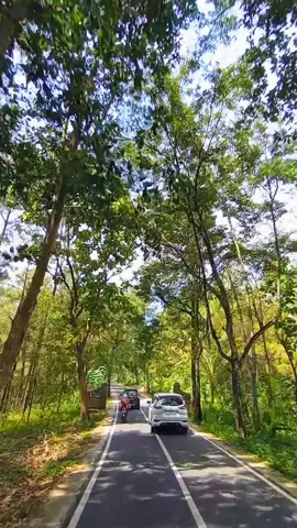 lek bengi sepine ora umum. #trenggalek24jam #trenggalek #trenggalek_hitz #trenggalekviral  #trenggalekjawatimur #jowopride #jowostory #fyp 