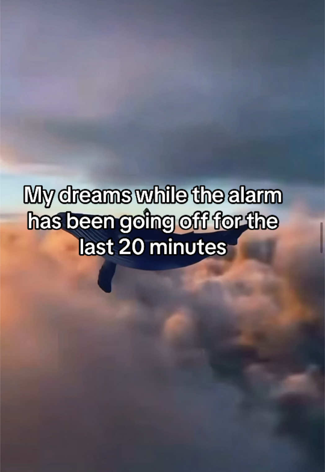 #relatablememes #memez #dailymemes #relatablememes4u #dream #dreamsmptiktok #dreammemes #luciddreams #luciddreaming #weirddreams #weirddreamsbelike #pov #funnymemes #funnymemesdaily #dancingmemes #fypages #memecut #viralmemes #trendingmemes 